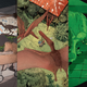 A collection of some of the illustrations in The Folio Society’s Jurassic Park collectors edition.